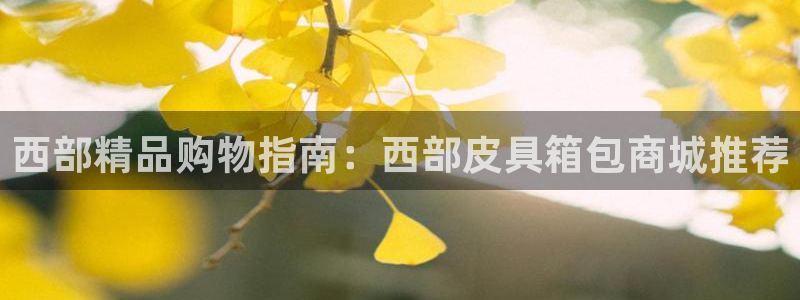 琳琅娱乐工作室地址