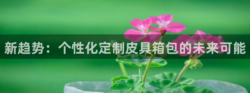 琳琅娱乐八卦