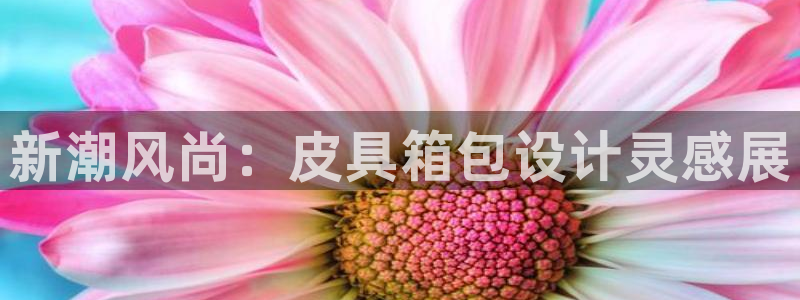 琳琅娱乐机器人