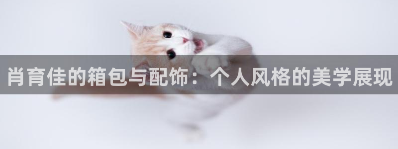琳琅娱乐登入官网
