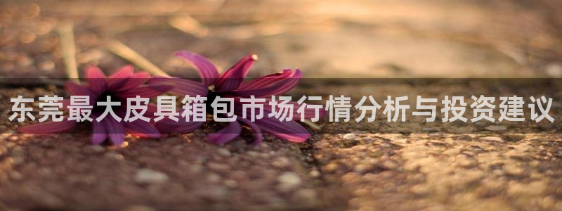琳琅娱乐总代