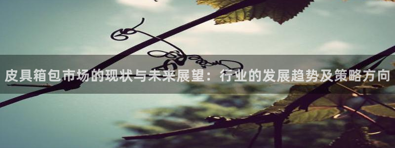 琳琅说娱乐