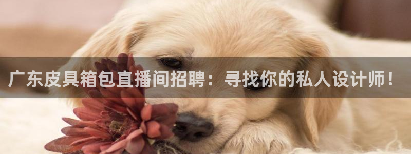 青娱娱乐琳琅导航