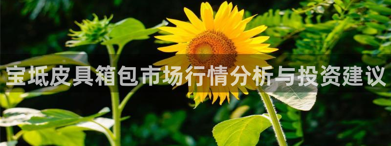 琳琅娱乐APP下载