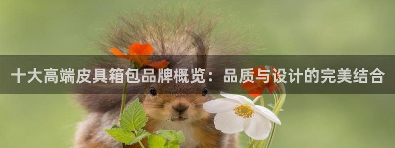 琅琳琅娱乐