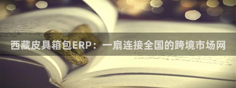 琳琅科技娱乐机器人