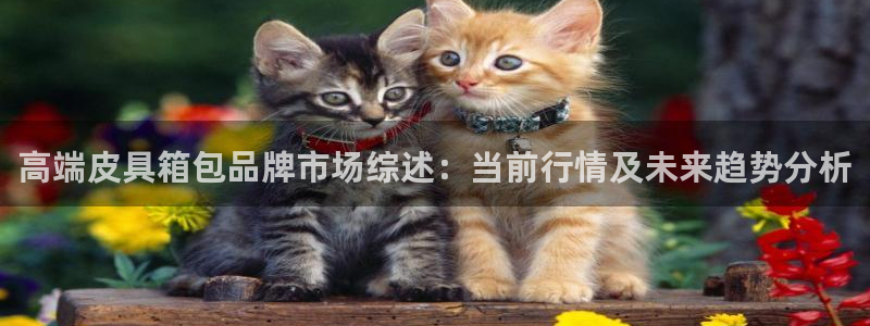 琳琅满目的娱乐设施