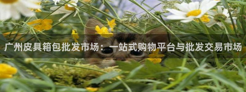 琳琅娱乐工作室地址查询