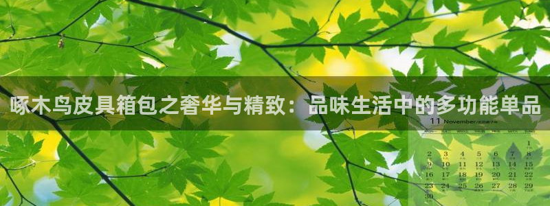 琳琅偏爱娱乐