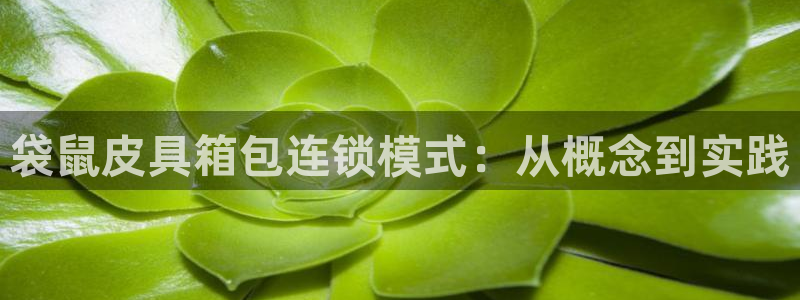 娱乐从琳琅榜开始笔趣阁