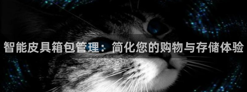 琳琅天上qq飞车娱乐
