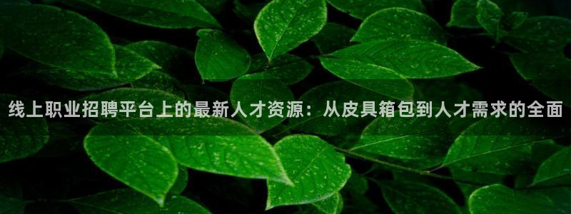 琳琅娱乐代理