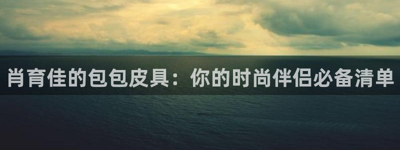 琳琅科技娱乐机器人