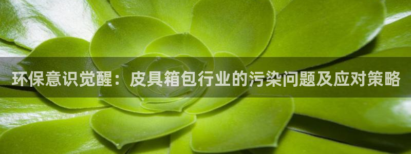 琳琅作者娱乐圈女主
