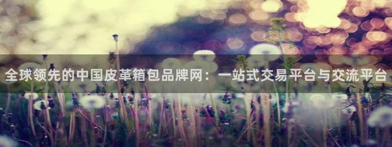 琳琅社区娱乐视频