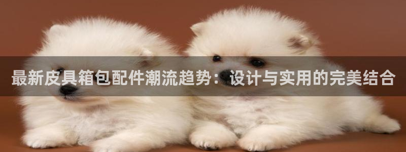 琳琅娱乐代理人是谁