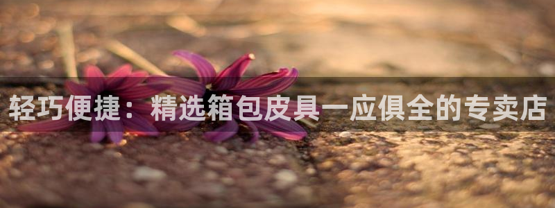 琳琅娱乐招商