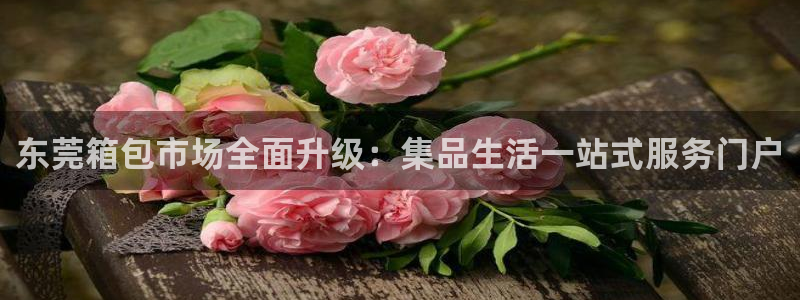 琳琅娱乐主管是谁