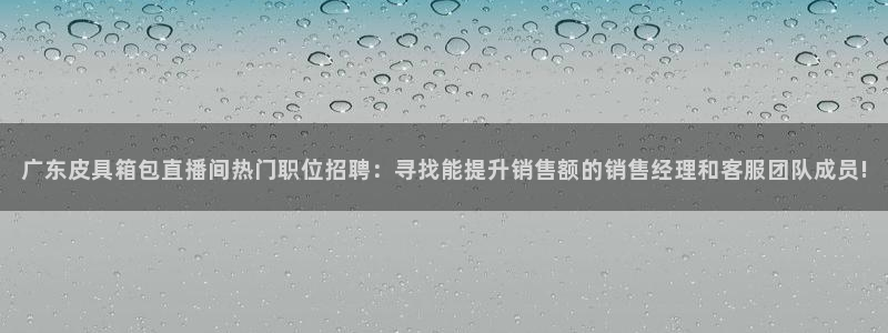 琳琅娱乐 全麦优质