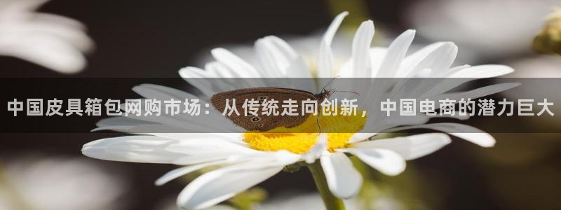 qq琳琅科技娱乐机器人