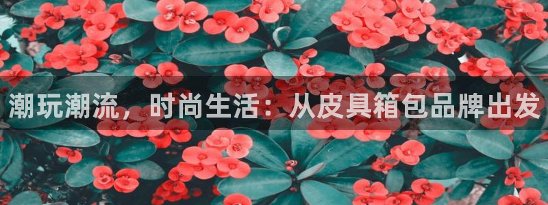 琳琅娱乐怎么样知乎