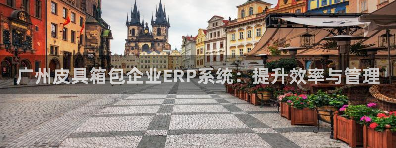 琳琅娱乐 全麦优质