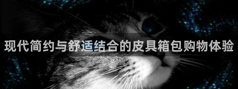 琳琅娱乐工作室怎么样啊