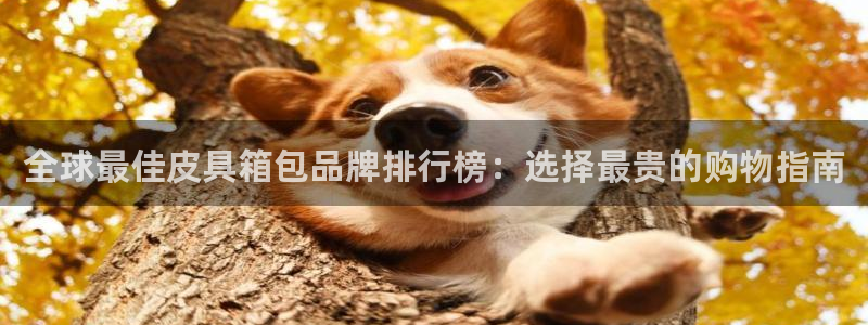 琳琅娱乐黑钱