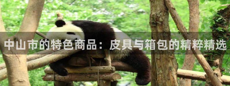 琳琅偏爱娱乐