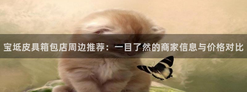 琳琅科技娱乐机器人下载