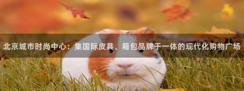 琳琅娱乐平台怎么样啊