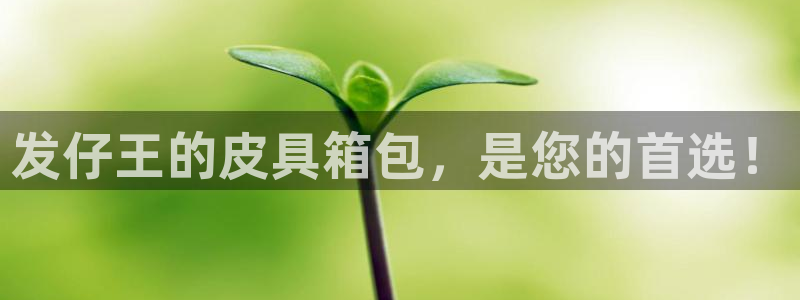 琳琅科技qq娱乐机器人