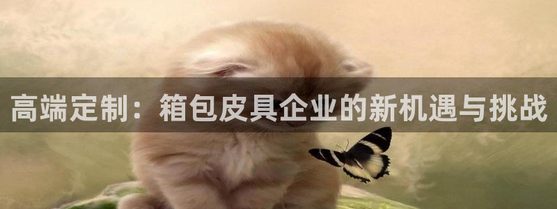 琳琅天上qq飞车娱乐