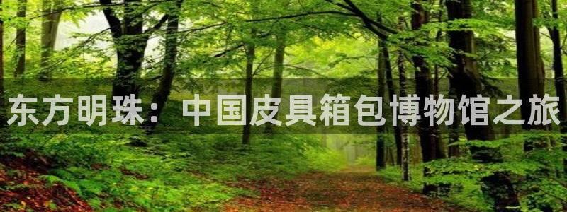 琳琅国际娱乐会所地址