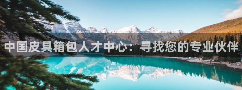 琳琅谈娱乐