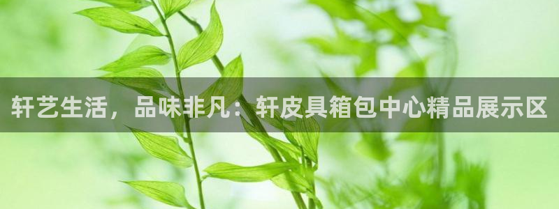 琳琅娱乐在线观看