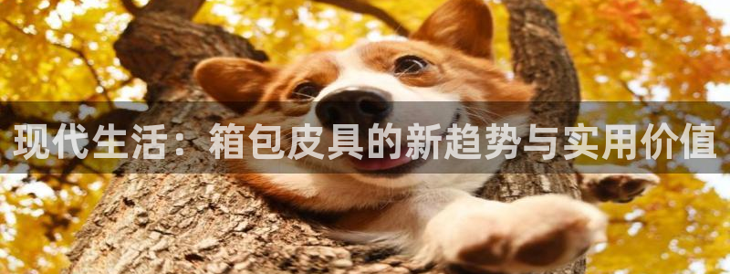 琳琅国际娱乐会所地址