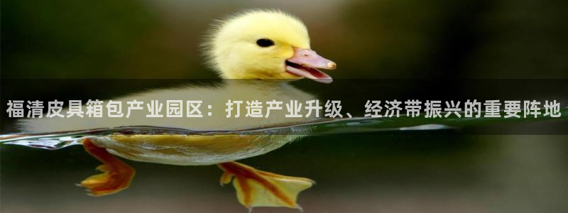琳琅天上qq飞车娱乐