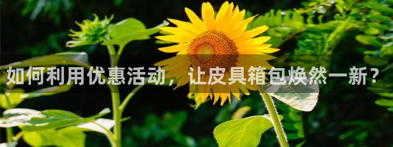 琳琅娱乐成年女人视频