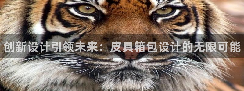 琳琅娱乐天美2