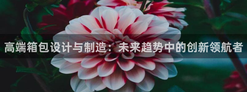 琳琅科技qq娱乐机器人怎么搞