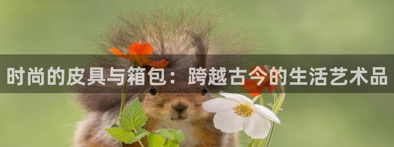 琳琅娱乐工作室怎么样啊
