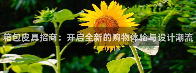 琳琅娱乐代理