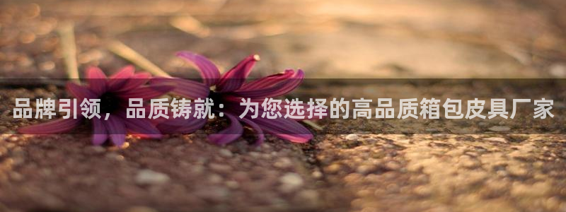 琳琅科技娱乐机器人插件
