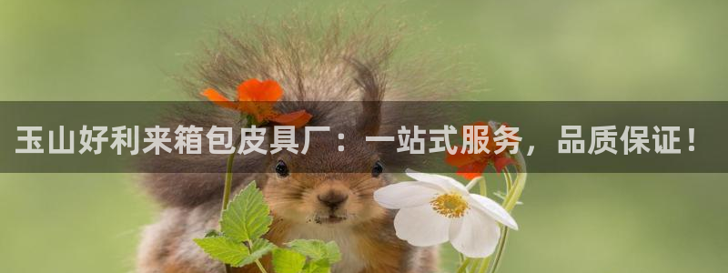 琳琅说娱乐
